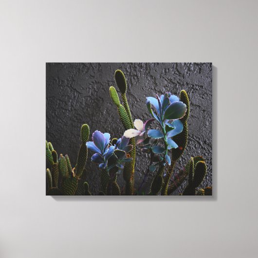 Planten woestijn canvas afdruk (Voorkant)