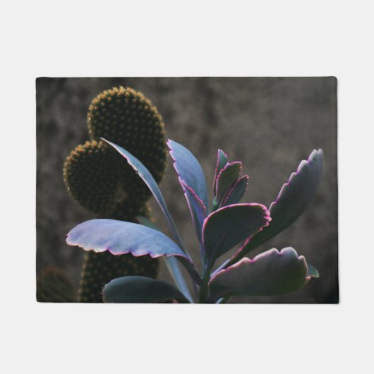 Planten woestijn deurmat (Voorkant)