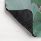 Planten woestijn muismat (Hoek)