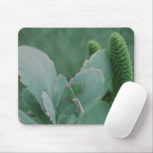 Planten woestijn muismat (Met muis)