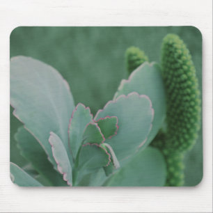 Planten woestijn muismat