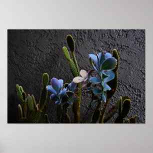 Planten woestijn poster