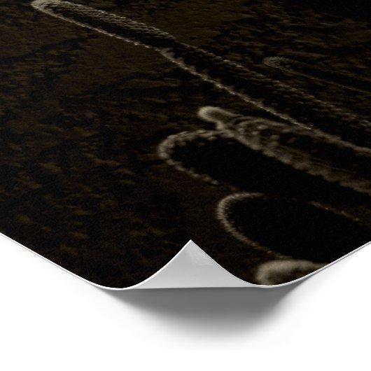 Planten woestijn poster (Hoek)