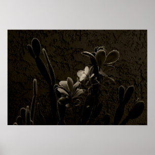 Planten woestijn poster