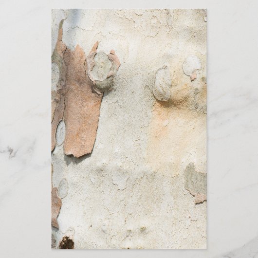 Plantenboomcamouflage ziet uit op barstpatroon flyer (Voorkant)