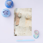 Plantenboomcamouflage ziet uit op barstpatroon flyer (Enkel)