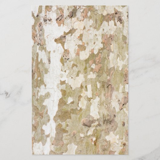 Plantenboomcamouflage ziet uit op barstpatroon flyer (Voorkant)