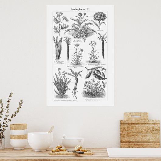  plantgoed, botanisch Duits Poster (Keuken)