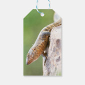 Planthagedis Cadeaulabel (Achterkant)