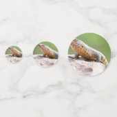 Planthagedis Confetti (Achterkanten)