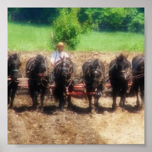 Plantijd Poster (Voorkant)