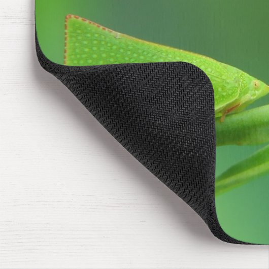 PlantWalker Muismat (Hoek)