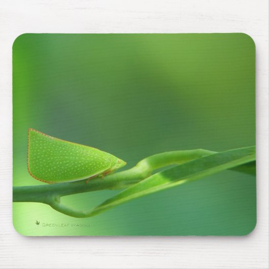 PlantWalker Muismat (Voorkant)