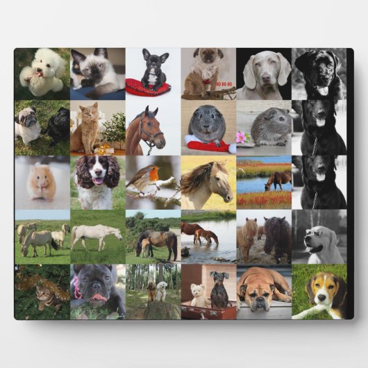 Plaque met 30x foto collage - ELKE gelegenheid Fotoplaat (Voorkant)