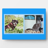 Plaque met afbeeldingen voor gezelschapsdieren fotoplaat (voorkant)