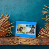 Plaque met afbeeldingen voor gezelschapsdieren fotoplaat (Zijkant)