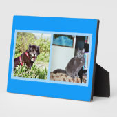 Plaque met afbeeldingen voor gezelschapsdieren fotoplaat (Zijkant)