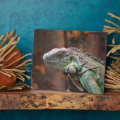 Plaque met kleurrijke Iguana-hagedis Fotoplaat (Zijkant)