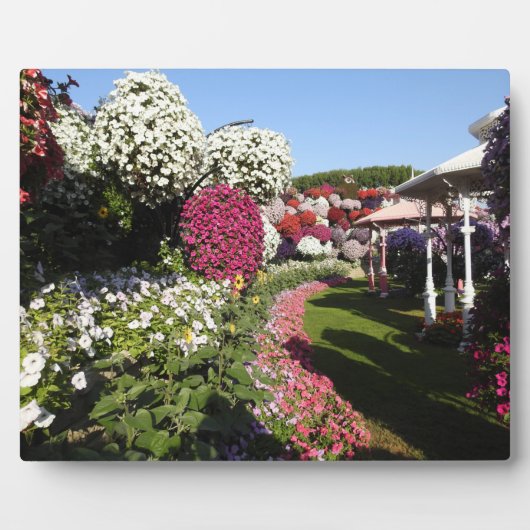 Plaque met petunias fotoplaat (Voorkant)