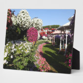 Plaque met petunias fotoplaat (Zijkant)