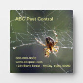 Plaque - Spider Fotoplaat (Voorkant)