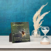 Plaque - Spider Fotoplaat (Insitu)