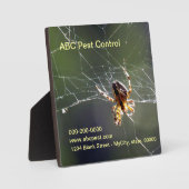 Plaque - Spider Fotoplaat (Voorkant)