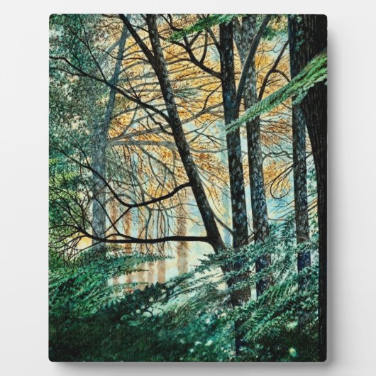 Plaque - "Tekening nabij" Fotoplaat (Voorkant)