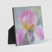 Plaque w/Easle The Iris in Pastels Fotoplaat (Voorkant)