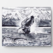 Plaque walvis fotoplaat (Voorkant)