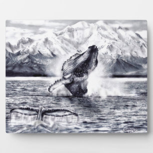 Plaque walvis fotoplaat