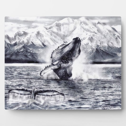 Plaque walvis fotoplaat (Voorkant)