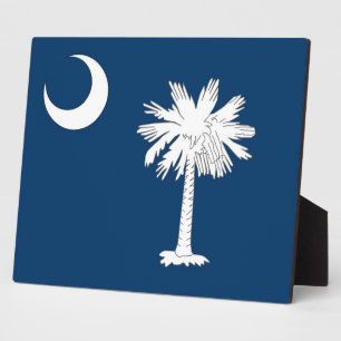 Plaquette met de vlag van South Carolina Fotoplaat