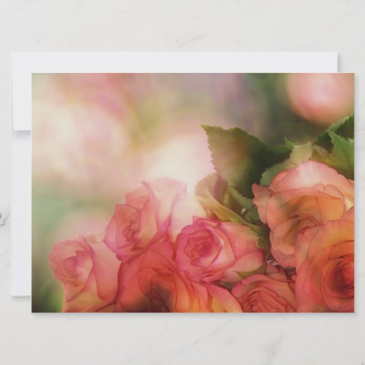 Plat kaartje (Achterkant)