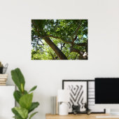Platanenboom Groene Natuur Poster (Thuiskantoor)