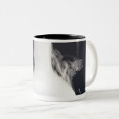 Platbodemkolf Tweekleurige Koffiemok (Voorkant rechts)