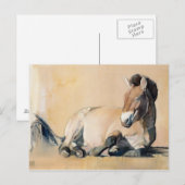 Plateau Sun Briefkaart (Voorkant / Achterkant)