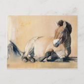 Plateau Sun Briefkaart (Voorkant)