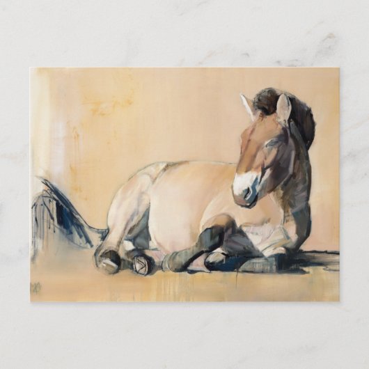 Plateau Sun Briefkaart (Voorkant)