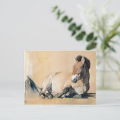 Plateau Sun Briefkaart (Staand voorkant)