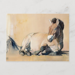 Plateau Sun Briefkaart