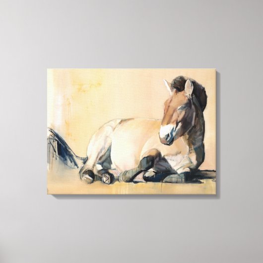 Plateau Sun Canvas Afdruk (Voorkant)