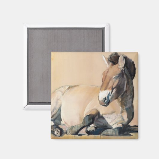 Plateau Sun Magneet (Voorkant / Achterkant)