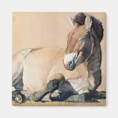 Plateau Sun Magneet (Voorkant)