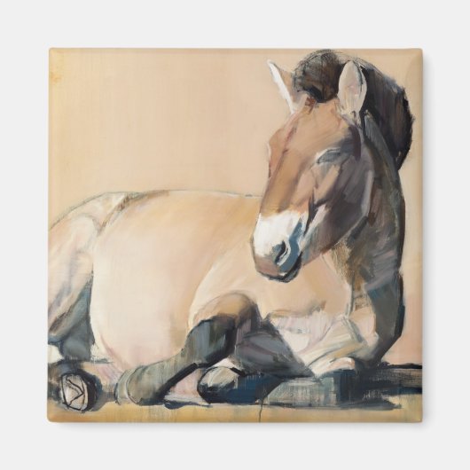 Plateau Sun Magneet (Voorkant)