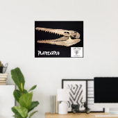 Platecarpus Mosasaur Poster (Thuiskantoor)
