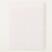 platenspeler voor lachen met klasjes planner (Achterkant)