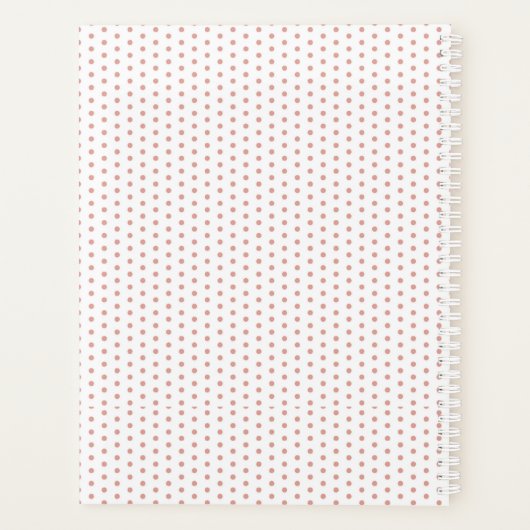  platenspeler voor lachen met klasjes planner (Achterkant)