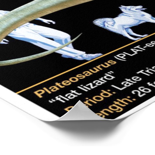 Plateosaurus - Biology Jurassic Poster (Hoek)