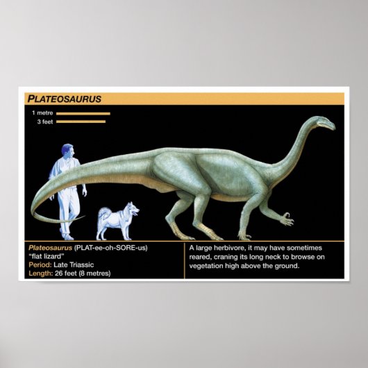 Plateosaurus - Biology Jurassic Poster (Voorkant)